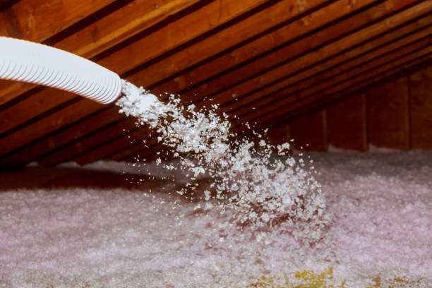 Best Insulation Maintenance and Repair in West Monroe, LA
