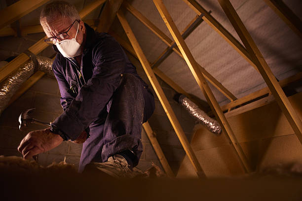 Best Geographic-Specific Insulation Services in West Monroe, LA