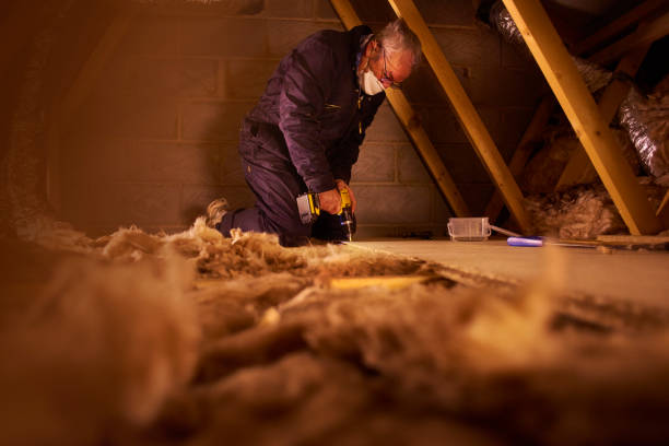 Types of Insulation We Offer in West Monroe, LA